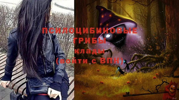 бошки Балахна